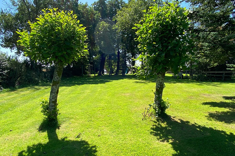 wonderful grounds