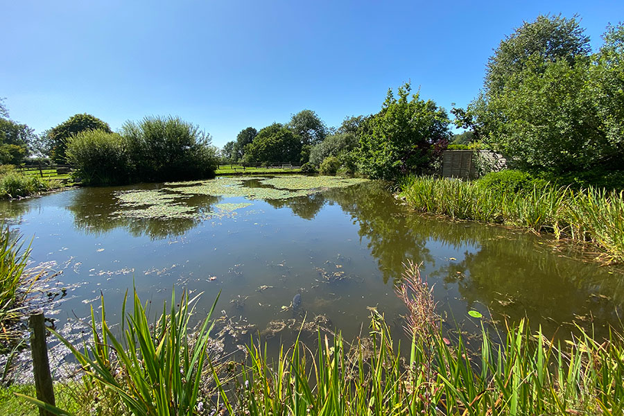 well stocked fishing lake