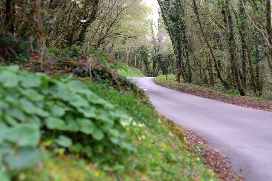 country holiday cottages