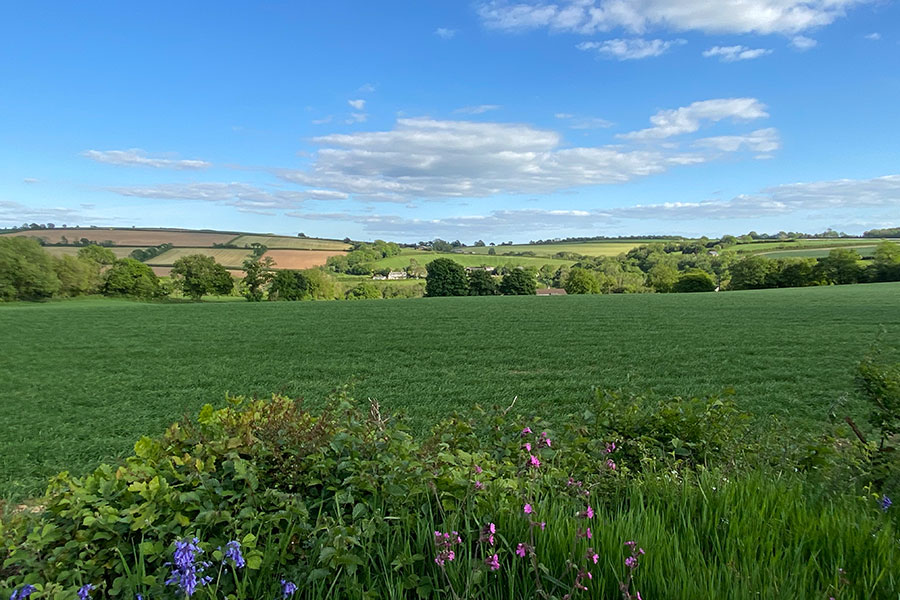 country holiday cottages with stunning views